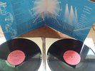 pink floyd delicate sound of thunder 2  lp  vinil  rare