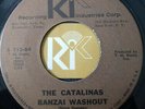 THE CATALINAS Banzai Washout RIK Surf Guitar Instrumental LISTEN