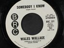WALES WALLACE: Somebody I Know / Talk A Little Louder 45 (dj, sl warp) Soul