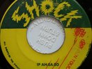45 ROOTS / THE DESTROYERS / IF AH-SO-A SO / SHOCK / LISTEN