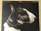 Pixies - Here Comes Your Man 12