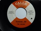 Orlons - Spinning Top  M-  1966