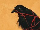 Death Cab For Cutie - Transatlanticism =10th.. Vinyl LP (2) Barsuk NEU