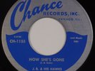 J.B. HUTTO & HIS HAWKS: Combination Boogie CHANCE ’73 Chicago Blues 45 VG++