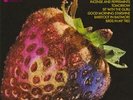 The Best of the Strawberry Alarm Clock by Strawberry Alarm Clock
