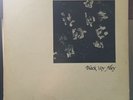 BLACK VOY ALLEY RARE LP vinyl record private press hard rock sabbath deep purple