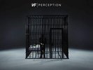 Perception [VINYL]
