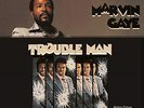 Trouble Man [VINYL]