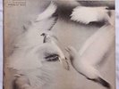 DONALD BYRD Free Form HERBIE HANCOCK ORIG BLUE NOTE LP NY EAR