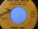Rare Texas Rocker 45/ Dickie 