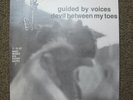 Guided By Voices ORIGINAL 2/15/87 Devil Between My Toes LP RARE Vinyl DAYTON