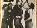 Suzi Quatro Self Titled Album (1973) Vinyl 12” RAK Records SRAK 505 UK Release