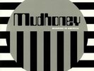 MUDHONEY - Morning In America - Vinyl (LP)