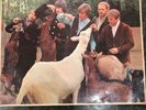 The Beach Boys Pet Sounds Lp Uk 1st Pressing Mono T2458 Rare Lp