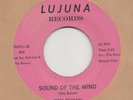 NORTHERN  SOUL -- OTIS BROWN -- SOUND OF THE WIND / FIND SOMEBODY NEW