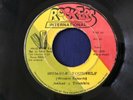 ASHER&TRIMBLE / HUMBLE YOURSELF ROOTS REGGAE 45 ROCKERS