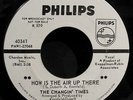 THE CHANGIN' TIMES-How Is The Air Up There-Rare Fuzz Garage DJ 45-PHILIPS #40341