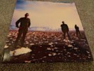 THE FUCKING CHAMPS V (5) vinyl lp first pressing Drag City