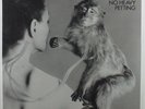 UFO No Heavy Petting CHRYSALIS CHR 1103 LP SEALED  