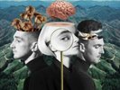 Clean Bandit - What Is Love - ID23w - vinyl LP - New