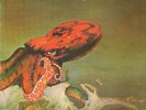 Gentle Giant Octopus ORIGINAL 1ST UK PRESSING NEAR MINT Vertigo Vinyl LP