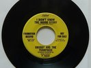 CHUBBY AND THE TURNPIKES I Didn't Try + I Didn't Know Inside Story Capitol 45 7