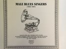 MALE BLUES SINGERS   1923-1931   PRE WAR BLUES COMP   IMPORT LP