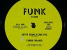 EVANS PYRAMID Never Gonna Leave You/The Dip Drop 12