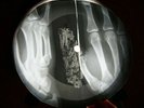 ARMSTRONG ONLY YOU X-RAY USSR VINYL RECORD MUSIC ON BONES ROENTGEN