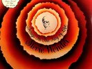 STEVIE WONDER 