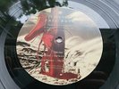 KATE BUSH THE RED SHOES  ORIGINAL 1993 UK Press LP MINT ONE PLAY MUSEUM COPY