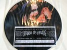 CRADLE OF FILTH The Cult Demos By The English Black Metal Horde PIC-LP 1999 GER