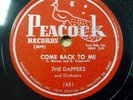 DAPPERS doo-wop 78 COME BACK TO ME   MAMBO OONGH on PEACOCK in VG++ cond. RJ 593