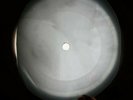SIMON GARFUNKEL SOUND OF SILENCE X-RAY USSR VINYL RECORD MUSIC ON BONES ROENTGEN