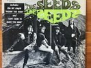 The Seeds – Self-Titled Garage Rock-Psych Rock Debut Vinyl LP – Double Hype-Mono