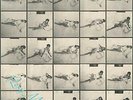 Roxy Music Remixed RSD 2019 (limited 2 X 12 Inch) (rsd) - Vi By Roxy Music (New)