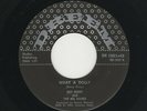 Midwest Rockabilly/Rockin' Gtr Instro RED/LOU BERRY What a Dolly/Hot Rod M- HEAR