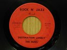 The Huns 45 Destination Lonely bw Winning Ticket on Rock N Jazz Chicago garage
