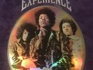 Jimi Hendrix Experience - The Jimi Hendrix Experience [8LP Box Set] (180 Gram)