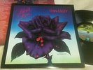 THIN LIZZY-BLACK ROSE-1979 VERTIGO 9102 032 1st 1/1/2/2+INNER -GARY MOORE-Ex+/Ex