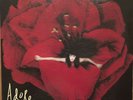 Smashing Pumpkins - Adore rare vinyl 2LP printed in the USA