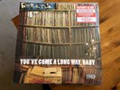 FATBOY SLIM - YOUVE COME A LONG WAY BABY. VINYL ME PLEASE BLUE VINYL