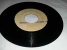 BLANK[STUDIO ONE]/VILLAGE SOUL - LENNIE HIBBERT [REGGAE INST.]   7