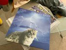 SMOG - KNOCK KNOCK VINYL ALBUM