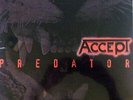 Accept LP - Predator