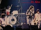 RAMONES - It's Alive: 40th Anniversary - Vinyl (LP box)