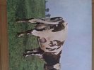 Pink Floyd Atom Heart Mother UK VINYL LP 1970 Original.