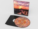 NOEL GALLAGHER'S HIGH FLYING BIRDS If Love Is The Law Ltd.12