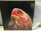 THEE OH SEES Clearly Invisible 12