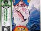 STEVE HILLAGE - Fish Rising   Japan 1978 LP  NM  w/ OBI, insert   Gong, The Orb